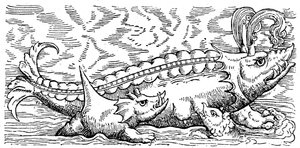 Ballena y cerdo marino lactantes de Conrad (after) Gesner
