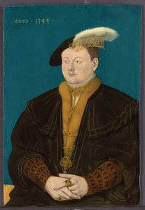 Retrato de Friedrich Magnus I von Solms-Laubach, 1543 de Conrad Faber