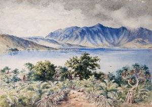Bahía de Naiviri, Nananu, Fiyi 1876 (acuarela)
