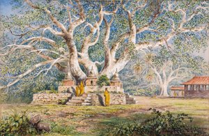 Árbol sagrado de Bo en el lugar de enterramiento de las reinas de Kandian de Constance Frederica Gordon Cumming