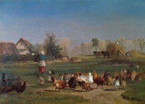 Alimentando a las gallinas