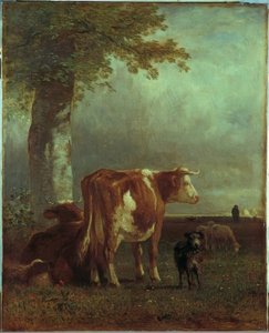 Vacas en el prado