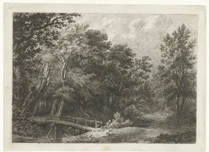 Vista al bosque con puente de madera