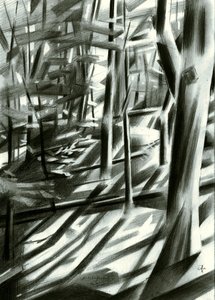 Resumen: Sombras del bosque