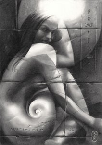 La enigmática mirada en espiral de Corné Akkers