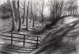 Boceto de un sendero forestal