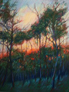 El resplandor del atardecer en el bosque de Corné Akkers