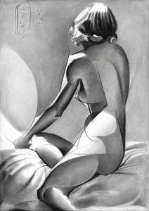Desnudo femenino elegante