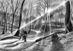 Un viaje por el bosque lleno de esperanza de Corné Akkers