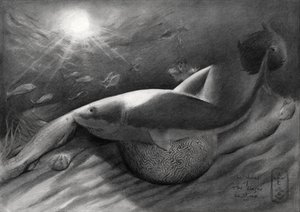 El tiburón y la sirena de Corné Akkers