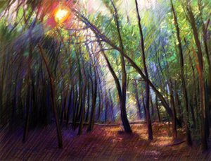 La luz del sol entre los árboles