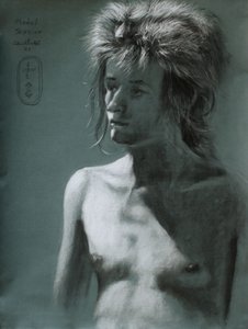 Retrato de «Wild Hair Shadow»
