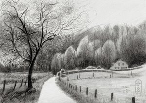 Camino rural sinuoso
