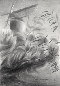 Molinos de viento y cañas: serenidad de Corné Akkers