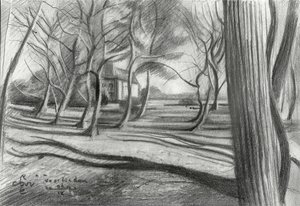 Sombras del bosque invernal