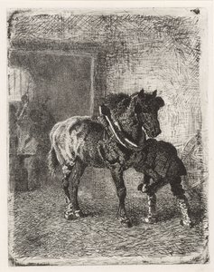 Caballo obtiene herraduras en una fragua de Cornelis Albertus Johannes Schermer