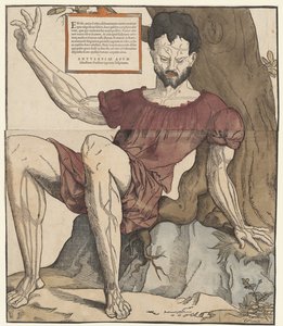 Las venas del cuerpo humano.