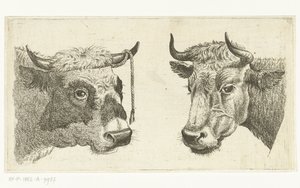 Cabeza de toro con soga en cuerno y cabeza de vaca de Cornelis  Bisschop