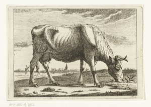 Paisaje con vaca pastando Vacas (título de la serie) de Cornelis  Bisschop