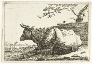 Paisaje con vaca acostada con tapa trasera