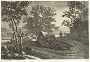Paisaje boscoso con pastor de Cornelis Brouwer