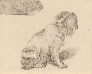 Perro sentado de Cornelis Brouwer