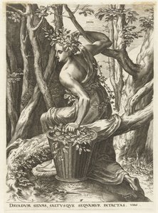 Dryas (título sobre el objeto) Diosas y ninfas (título de la serie)