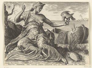 El sentimiento (Tactus) Los cinco sentidos (título de la serie) de Cornelis Cort