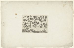 Fila de flores sobre el paisaje Flores y paisajes (título de la serie) de Cornelis Danckerts (I)