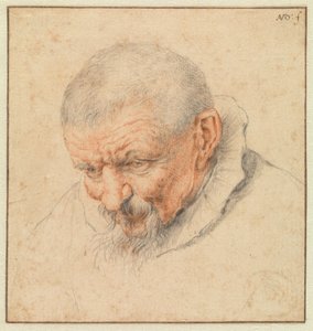 La cabeza de un anciano de Cornelis Dusart