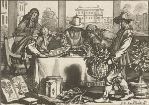 botánico