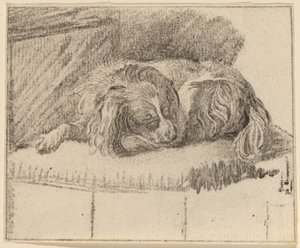 Perro Acostado de Cornelis Ploos van Amstel