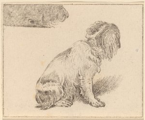 Perro sentado de Cornelis Ploos van Amstel