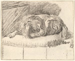 Perro durmiendo de Cornelis Ploos van Amstel