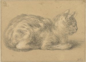 Gato sentado, a la derecha de Cornelis Saftleven (possibly)