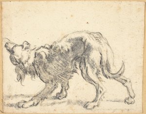 Un perro de Cornelis Saftleven