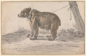 Un oso atado a una cuerda de Cornelis Saftleven