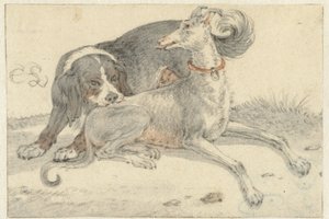 Un galgo y un perro perdiguero de Cornelis Saftleven