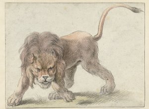 León de Cornelis Saftleven