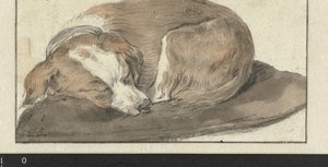 Perro dormido de Cornelis Saftleven