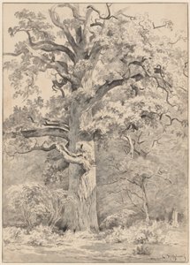 Un roble gigante al borde de un bosque de Cornelis Steffelaar
