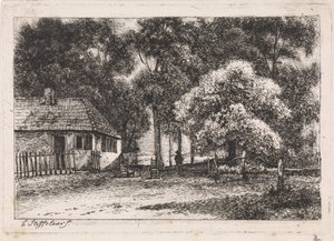 Casa entre árboles
Quinta suite (título de la serie)