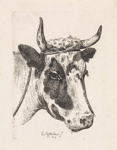 Cabeza de vaca manchada Primera suite (título de la serie)