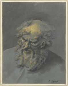 Cabeza de un anciano con barba (un apóstol o filósofo) de Cornelis Troost