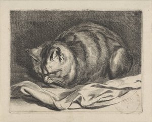 gatito de Cornelis Visscher (II)