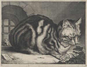 El gato grande de Cornelis Visscher (II)