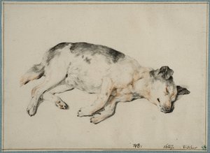  de Cornelis Visscher