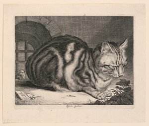 El gran gato de Cornelis Visscher