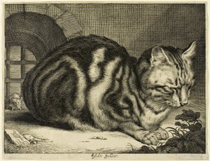 El Gran Gato de Cornelis Visscher