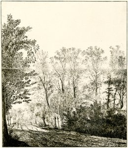 Sendero a través de un bosque de Hendrick Cornelisz. Vroom